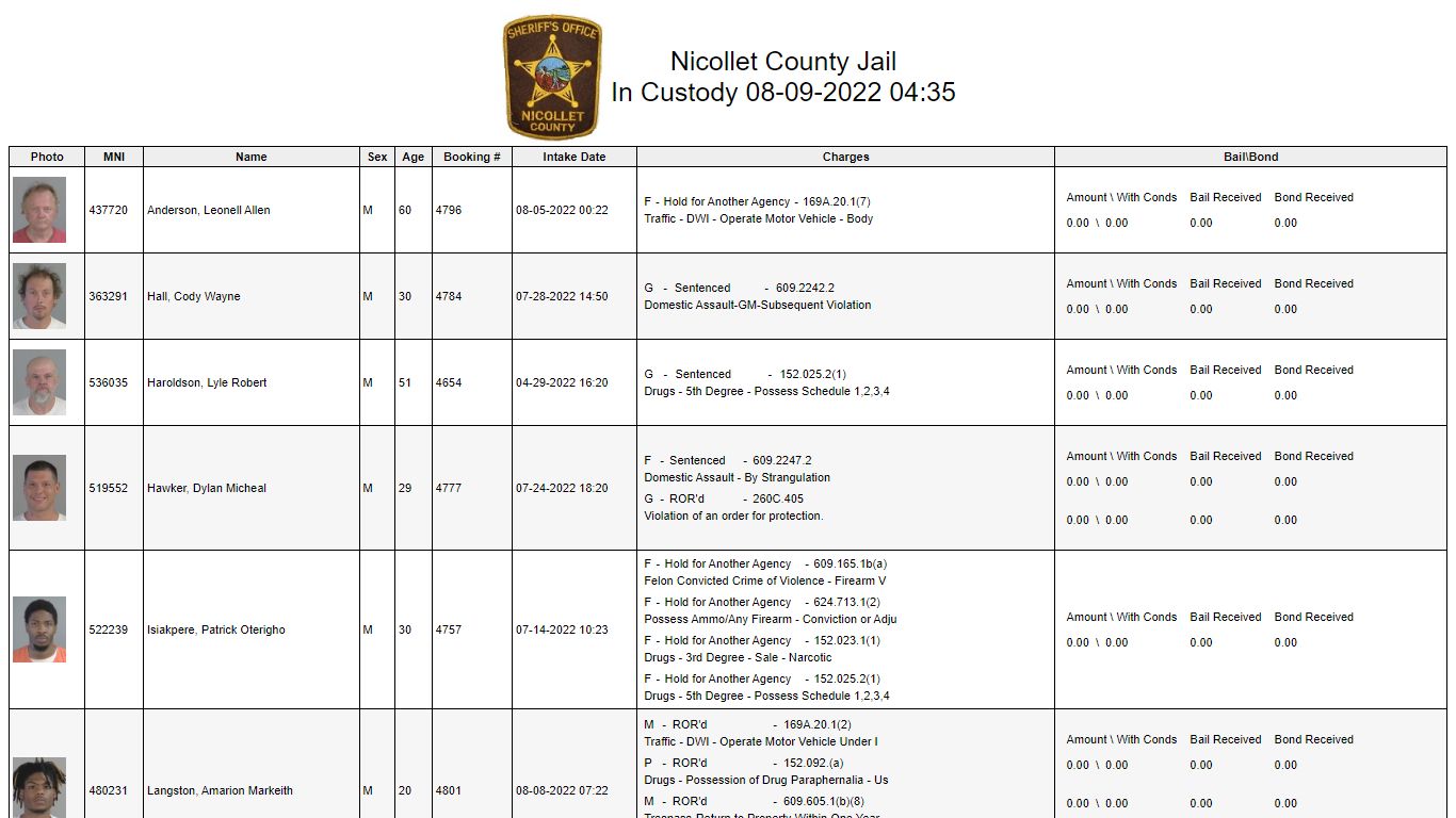 Custody - Nicollet County, Minnesota